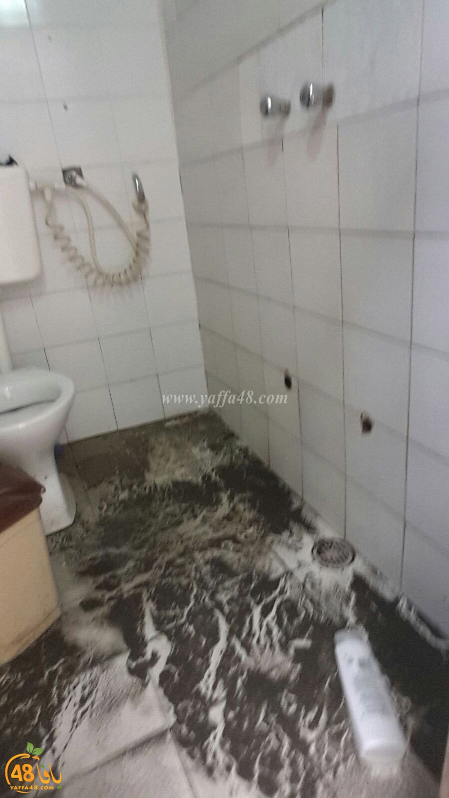 ramla majary (6).jpg